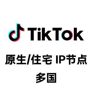 TikTok原生IP节点 - 跨境电商专属