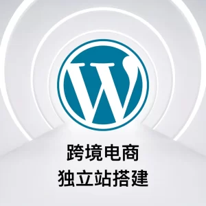 跨境电商独立站 一站式建站解决方案