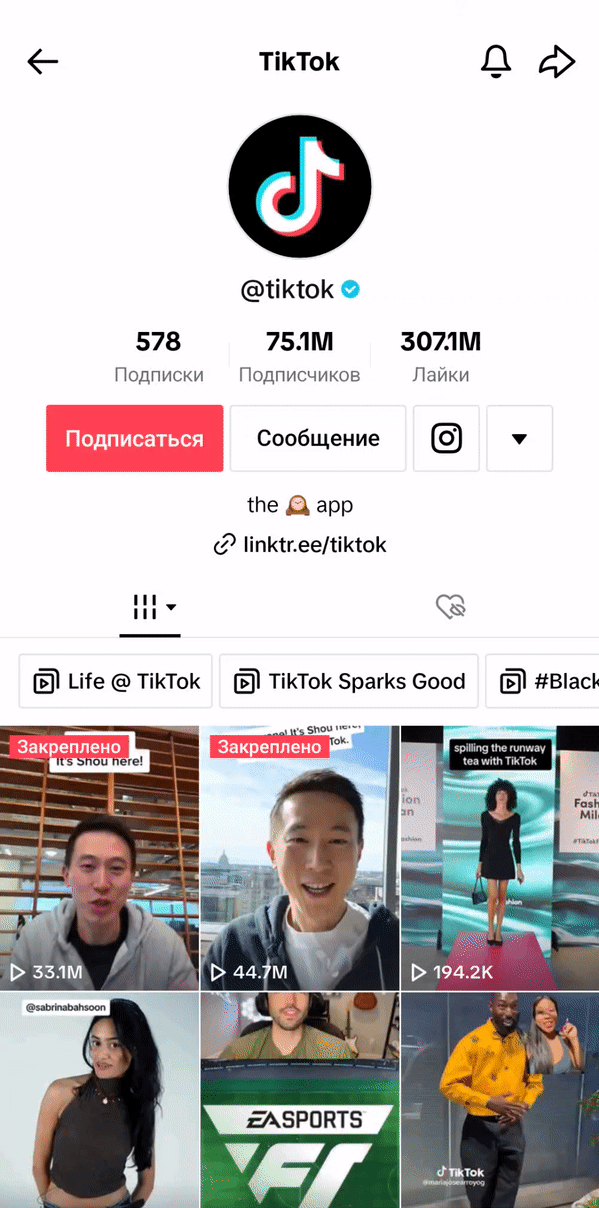 TikTok Mod 功能演示