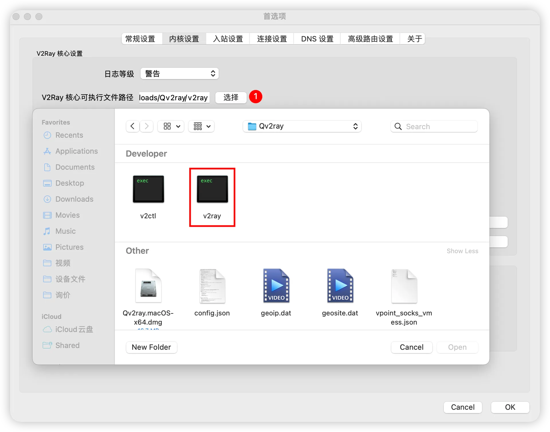 Qv2ray 内核设置路径配置