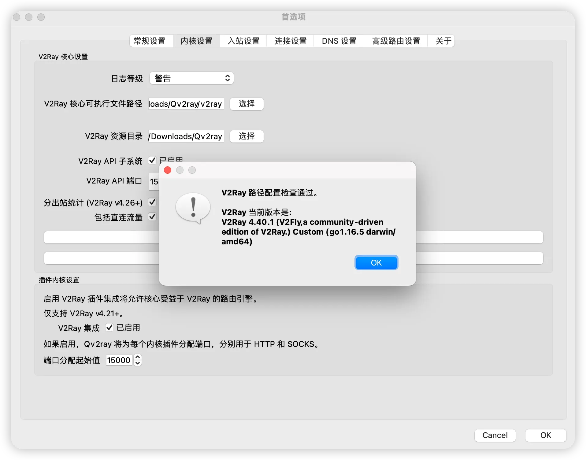 Qv2ray 内核检查通过提示